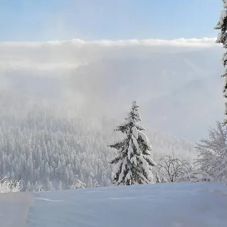 Apartment Comfortable Near The Station With Parking